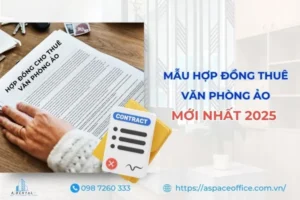 Tham khảo ngay mẫu hợp đồng cho thuê văn phòng ảo
